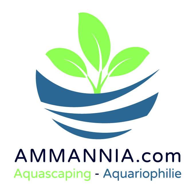 AQUA MEDIC antigreen 1000 ml anti-algues filamenteuses et visqueuses pour  aquarium d'eau douce jusqu'à 1600L - Traitements de l'eau douce/Anti-algues  -  - Aquariophilie