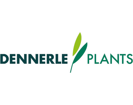 Plantes Dennerle