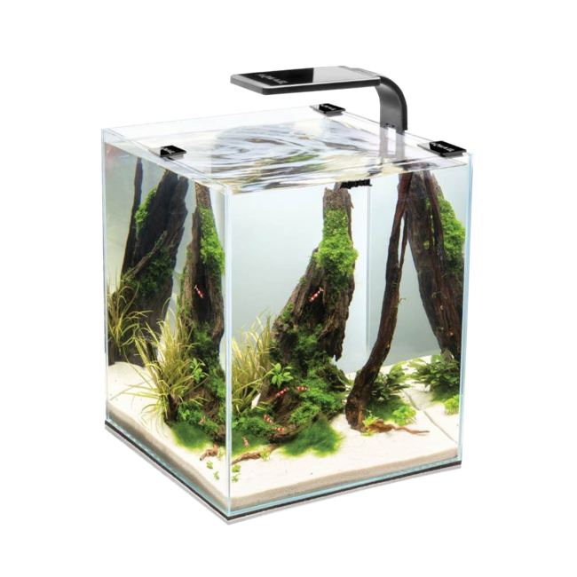 Nano aquarium spécial crevettes et aquascaping 30litres noir