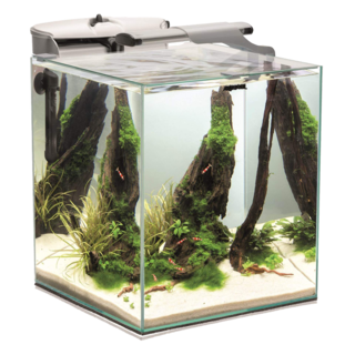 Aquarium 49L tout équipé - Fish & Shrimp Set Smart Duo d'Aquael