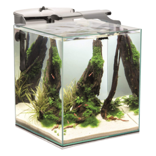 Aquarium 49L tout équipé - Fish & Shrimp Set Smart Duo blanc