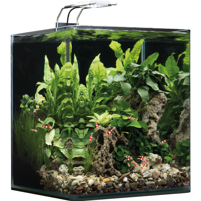 Aquarium NanoCube® 30L Dennerle tout équipé avec substrat