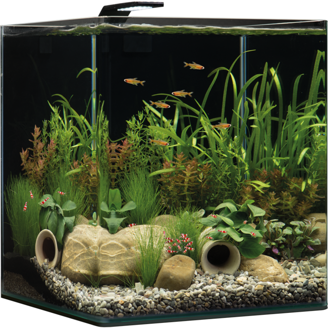 Aquarium NanoCube® 60L Dennerle tout équipé avec substrat