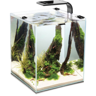 Nano aquarium spécial crevettes et aquascaping 30litres noir