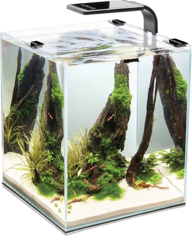 Nano aquarium spécial crevettes et aquascaping 30litres noir