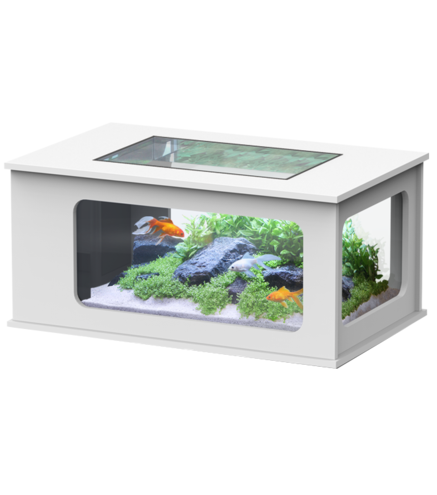 Aquatable Blanche 177L - 100 x 63 cm - Aquatlantis