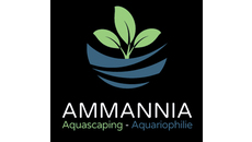 AMMANNIA AMMANNIA