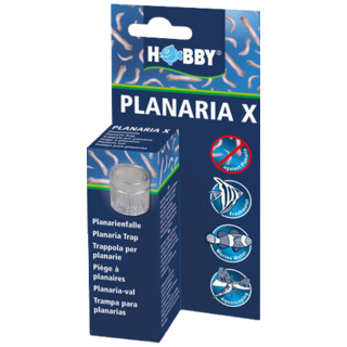 PLANARIA X - piège à planaire - HOBBY