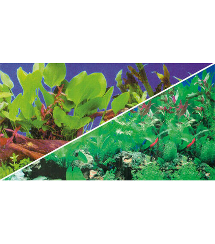 Poster Plantes 1/5 100x50cm - Hobby