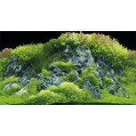 Poster Planted River / Green Rocks 60x30cm - Hobby