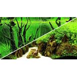 Poster Canyon / Woodland 120x50cm - Hobby