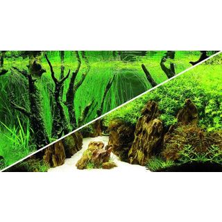 Poster Canyon / Woodland 120x50cm - Hobby