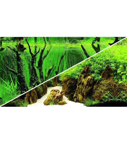 Poster Canyon / Woodland 120x50cm - Hobby