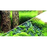 Poster Scapers Hill / Forest 120x50cm - Hobby