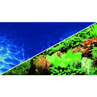 Poster Plantes 8 / Marine Blue 100x50cm - Hobby
