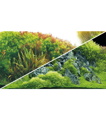 Poster Planted River / Green Rocks 60x30cm - Hobby
