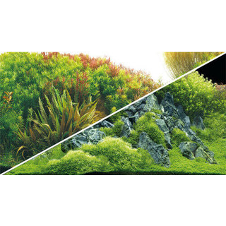 Poster Planted River / Green Rocks 100x50cm - Hobby
