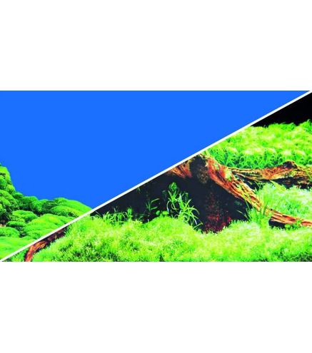Poster Spring / Moos 100x50cm - Hobby