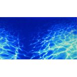 Poster Plantes 8 / Marine Blue 120x50cm - Hobby