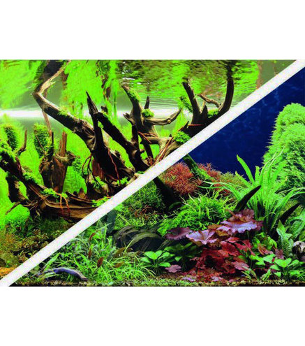 Poster Green Secret / Wood Island 60x30cm - Hobby