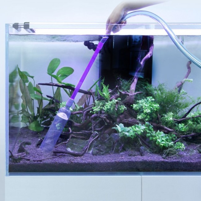 Nettoyer Plantes Artificielles Aquarium