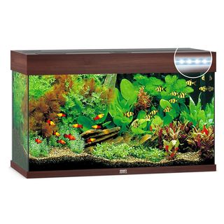 Aquarium RIO 125 LED - BRUN