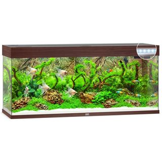 Aquarium RIO 240 LED - BRUN