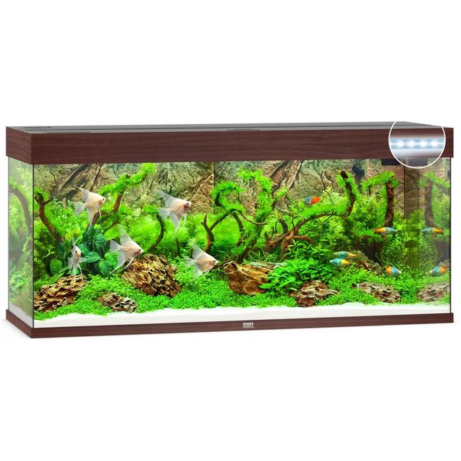 Aquarium Rio 240 Led 2x29w Brun Juwel Tout Equipe