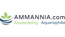 AMMANNIA-L AMMANNIA-L