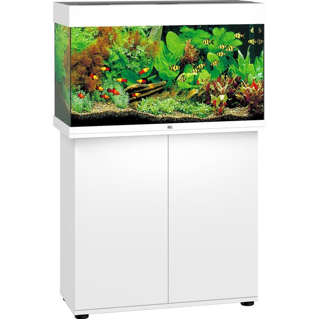 Aquarium RIO 125 LED 2x14w BLANC JUWEL + MEUBLE - Tout équipé