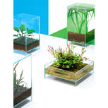  DOOA Neo Glass Cover 15x15(cm) - Couvercle