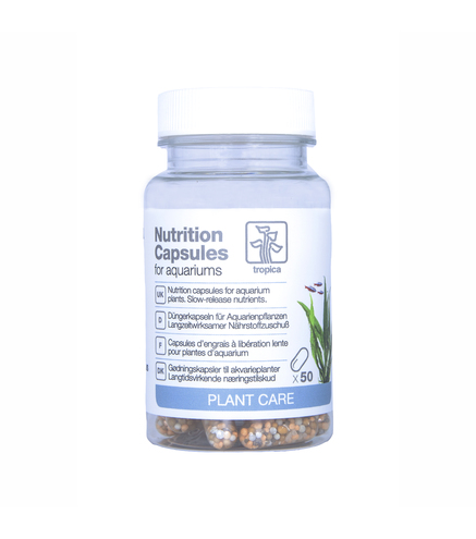 Nutrition Capsules x50 - Fertilisant à diffusion lente