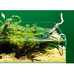 DOOA WABI-KUSA Hanger S (H30mm) - Cintre pour plantes émergées