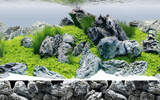 Roches et racines naturelles