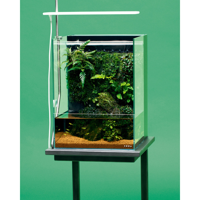 Petit aquarium / paludarium en verre extra blanc qualité ADA
