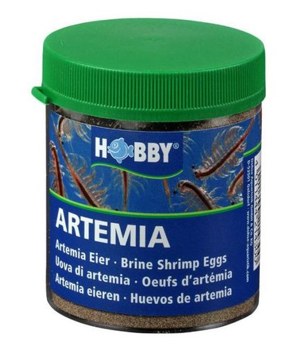 Oeufs d’Artémias HOBBY - 150 ml 