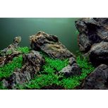 Set décoration Mini Landscape SEIRYU ROCK pour aquarium de 80L