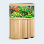 Aquarium VISION 180 LED CHÊNE CLAIR  JUWEL