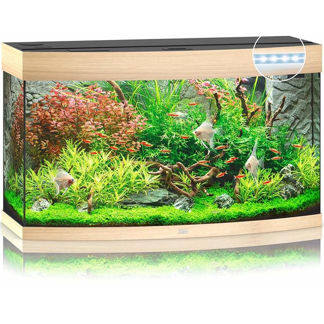 Aquarium de 300 Litres, Kits et Accessoires de Démarrage, Plantes,  Graviers, Meuble NOIR, d'une dimension au meilleur prix