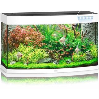 Aquarium VISION 180 LED BLANC  JUWEL