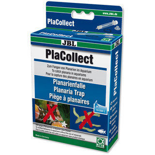 PLACOLLECT - Piège à planaires - JBL 