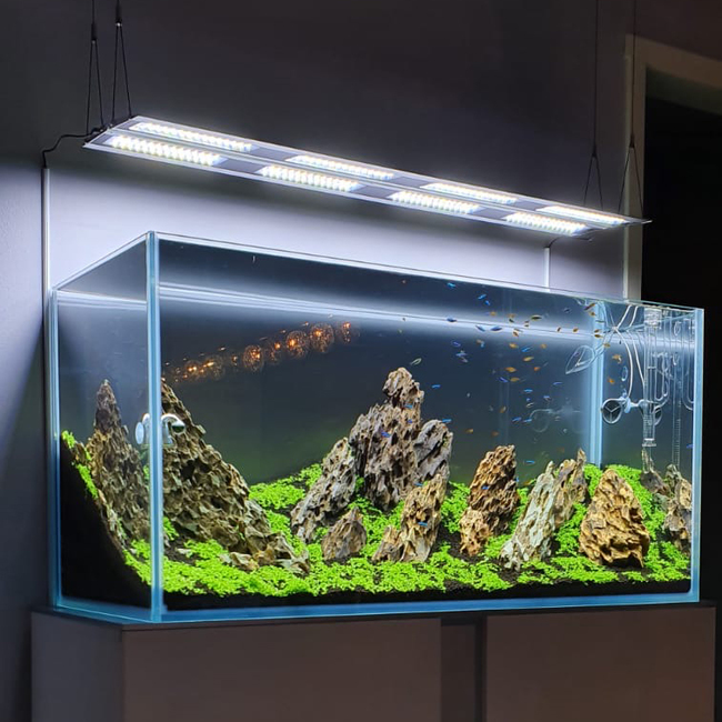 Lampe 90W pour aquarium MICMOL spécial plantes - G3 Aqua Air