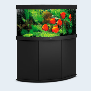 Aquarium TRIGON 350 NOIR Juwel + Meuble