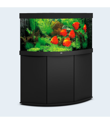 Aquarium TRIGON 350 NOIR Juwel + Meuble