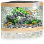 Aquarium TRIGON 190 CHÊNE CLAIR Juwel + Meuble