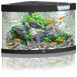Aquarium TRIGON 190 NOIR Juwel + Meuble