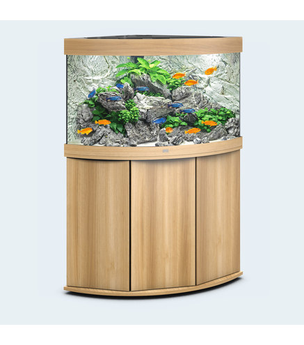Aquarium TRIGON 190 CHÊNE CLAIR Juwel + Meuble