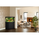 Aquarium TRIGON 350 NOIR Juwel + Meuble