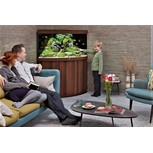 Aquarium TRIGON 190 NOIR Juwel + Meuble