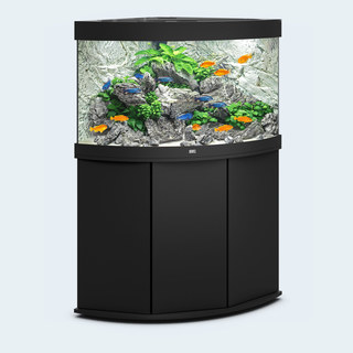 Aquarium TRIGON 190 NOIR Juwel + Meuble